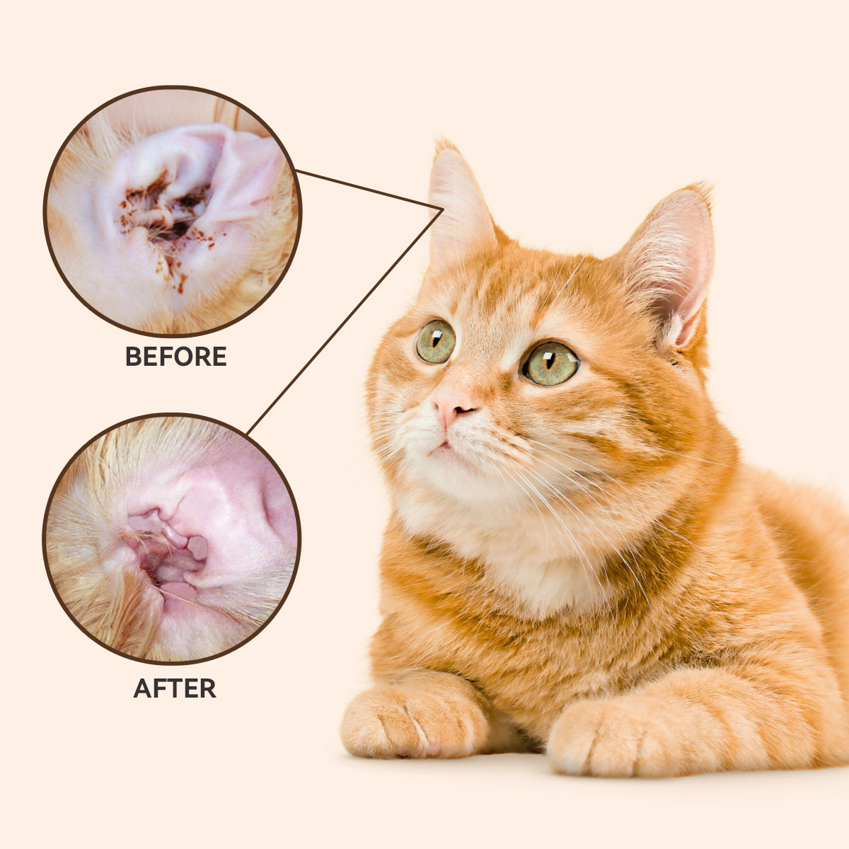 Puainta® Quantum Ear Drop Relieves itching, Cleans Ear Wax