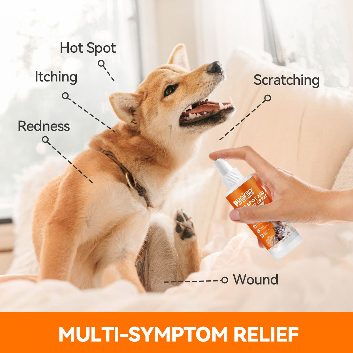 Puainta® Quantum Silver Skin Spray for Dogs/ Cats