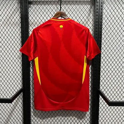 MAILLOT ESPAGNE
