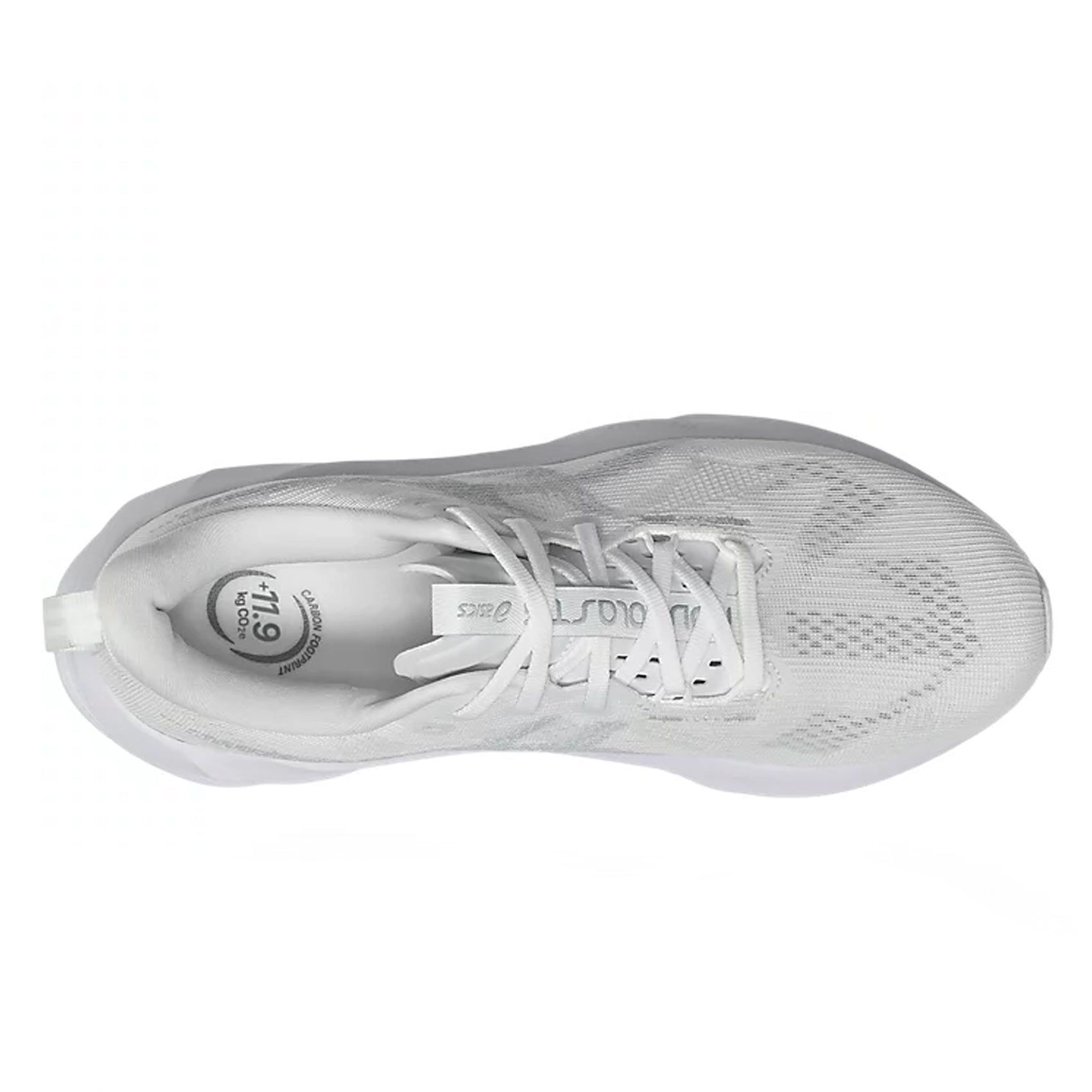 Mens ASttgICS Novablast 5