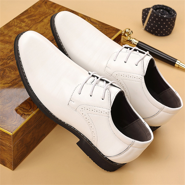 Four Seasons Men's British Pointed Toe Business Casual Leather Shoes