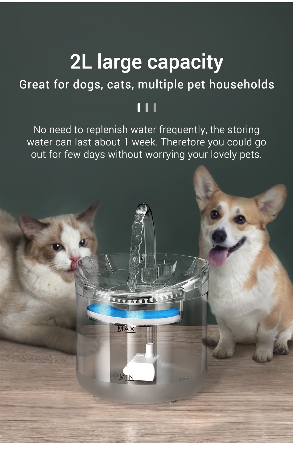 Flowing water, Smart water dispenser for pets
