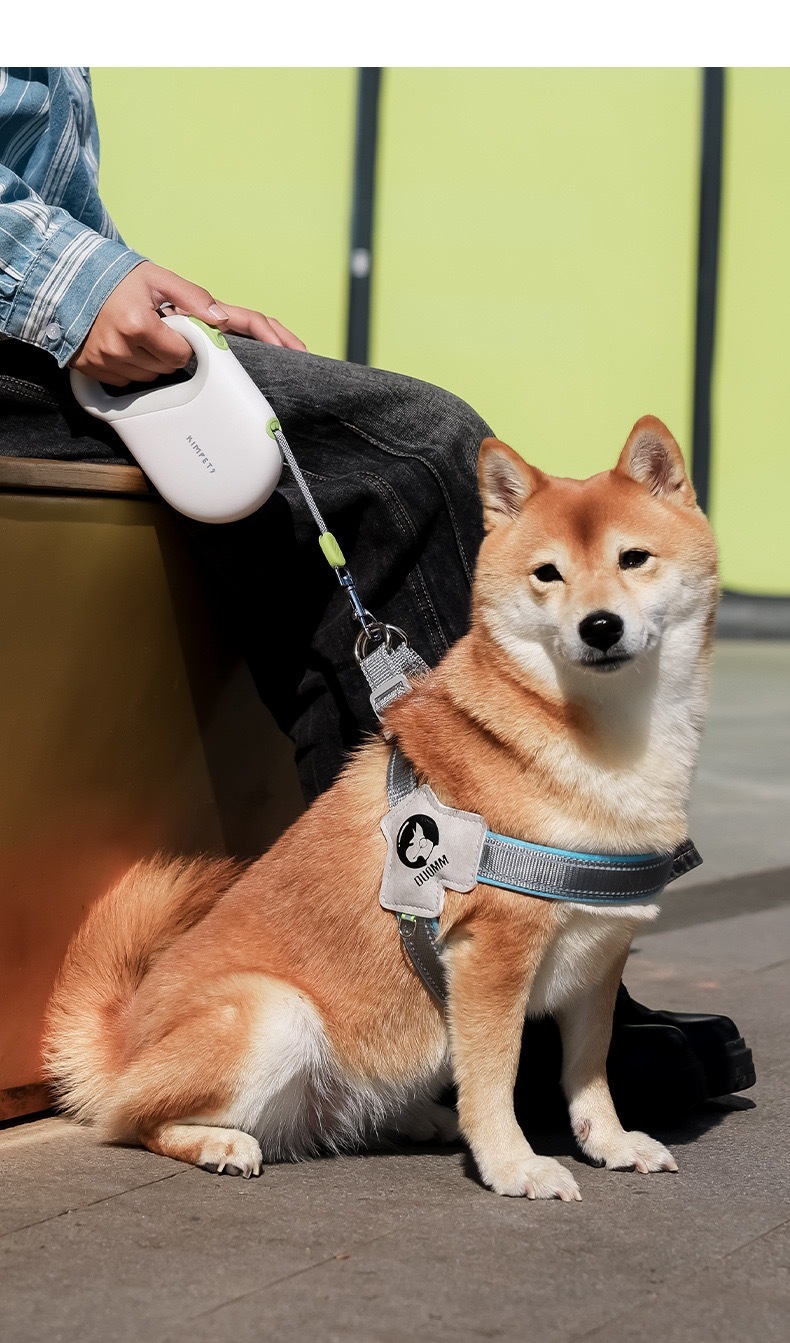 "SmartLock Pro 360° Retractable Leash: TÜV-Certified Safety with Military-Grade Durability for 50kg Dogs