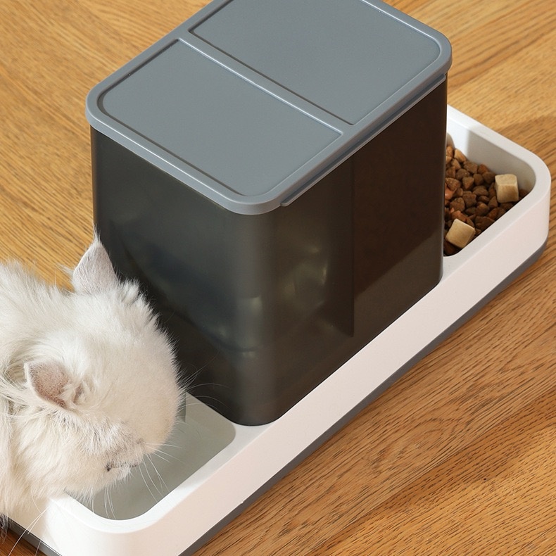 All-in-one feeding and watering machine