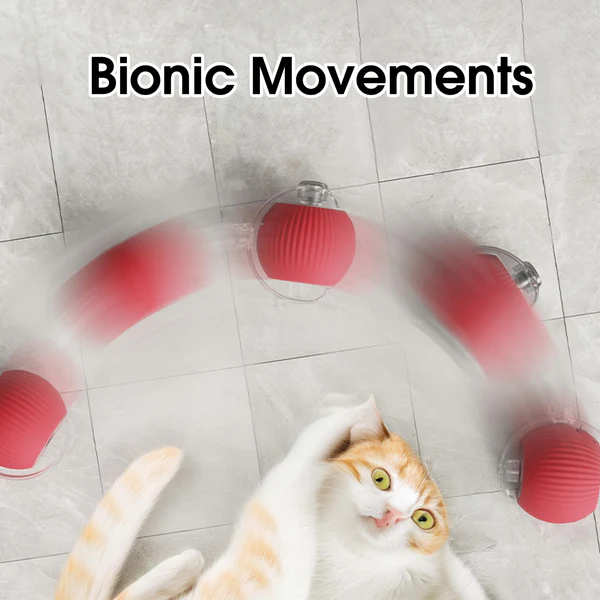 Automatic Cat Ball with Tail – Interactive Cat Toy