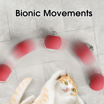 Automatic Cat Ball with Tail – Interactive Cat Toy