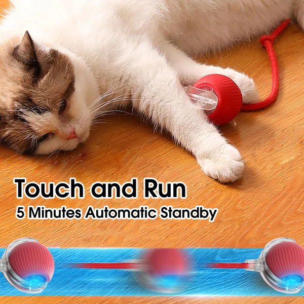 Automatic Cat Ball with Tail – Interactive Cat Toy