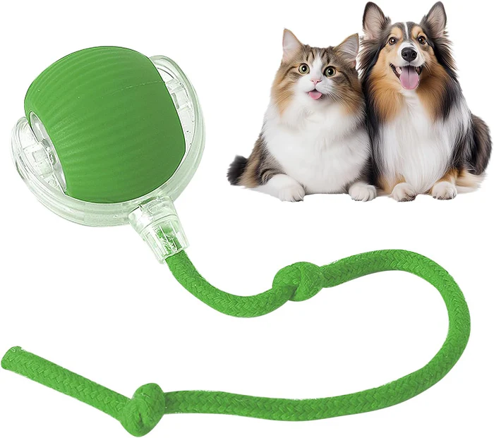 Automatic Cat Ball with Tail – Interactive Cat Toy