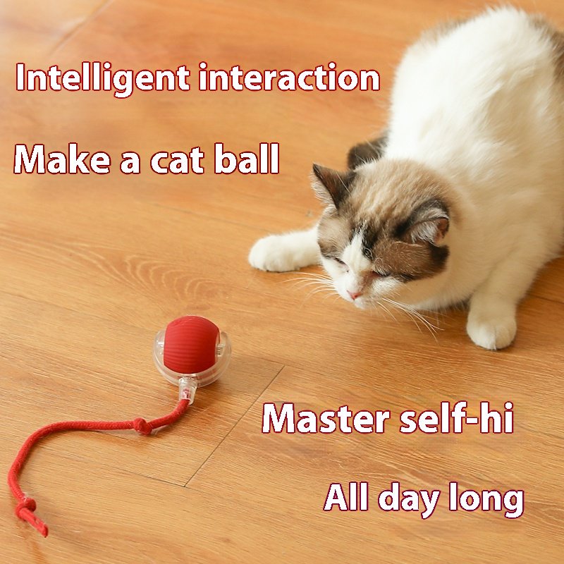 Smart Pet Toys