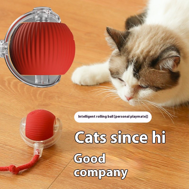 Automatic Cat Ball with Tail – Interactive Cat Toy