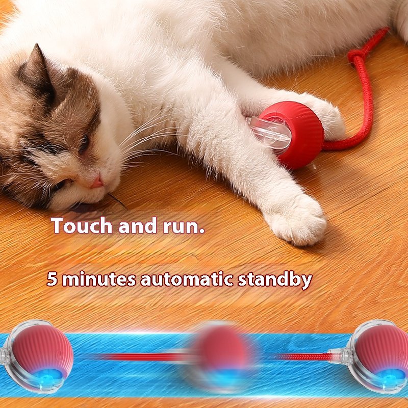 Automatic Cat Ball with Tail – Interactive Cat Toy