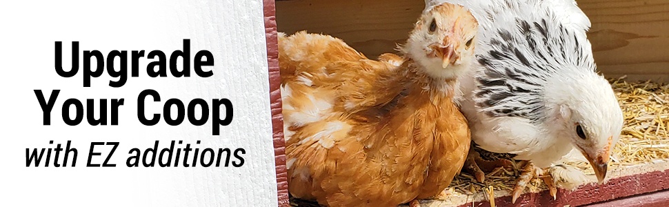 Upgrade Your Coop with EZ Additions