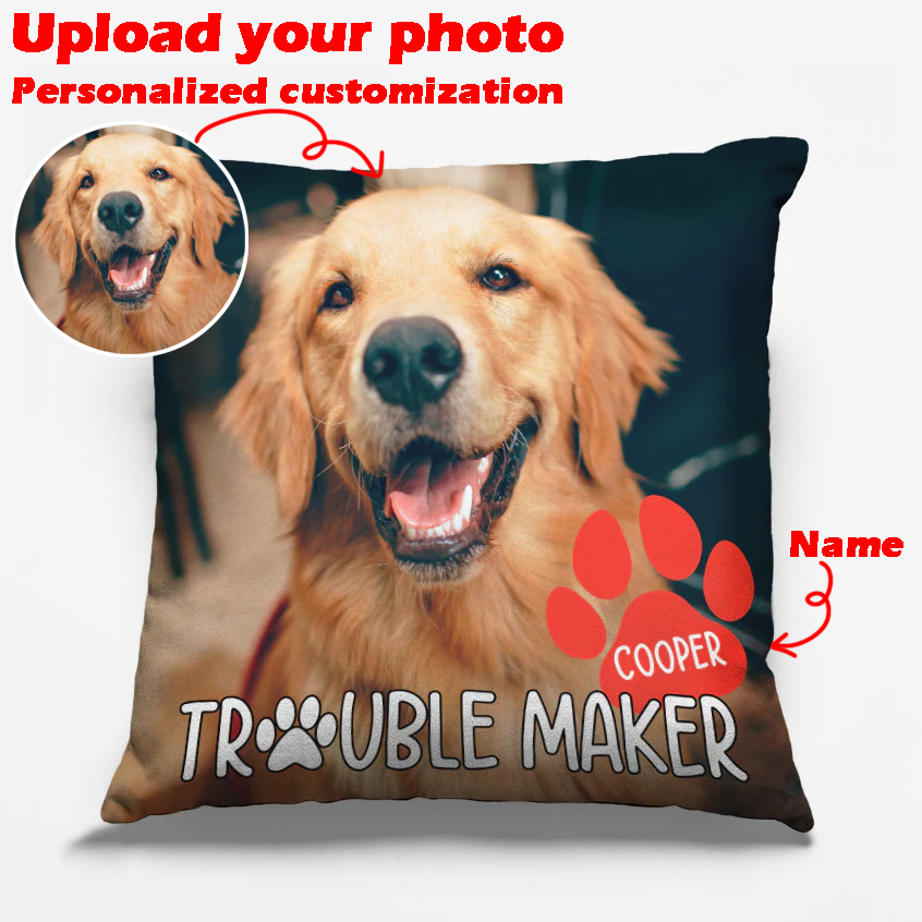 Custom Photo Trouble Maker - Dog & Cat Personalized Custom Pillow - Gift For Pet Owners, Pet Lovers