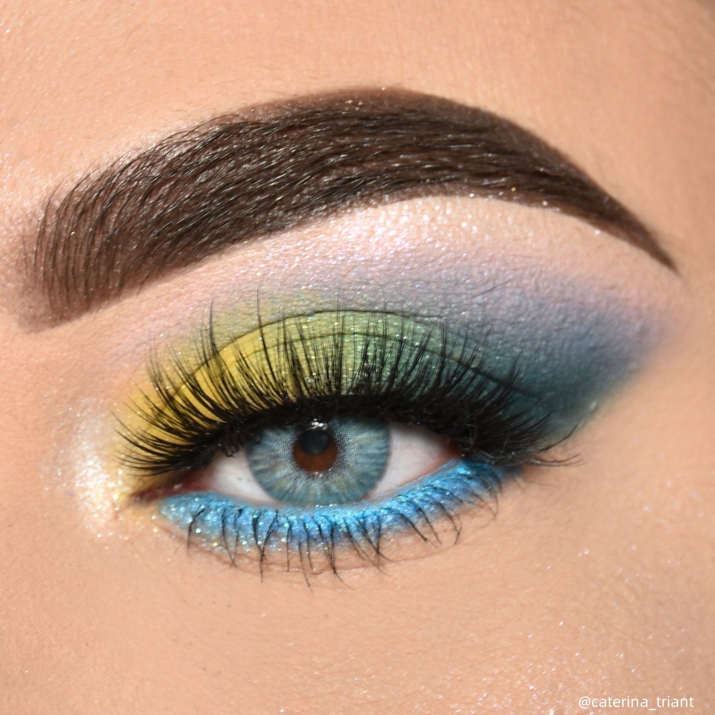 TTDeye Ever Blue | 1 Year