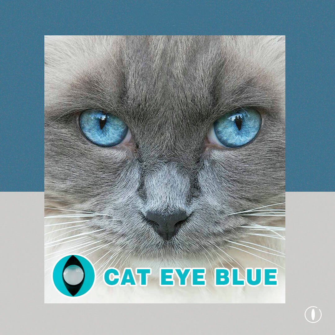 TTDeye Cat Eye Blue | 1 Year