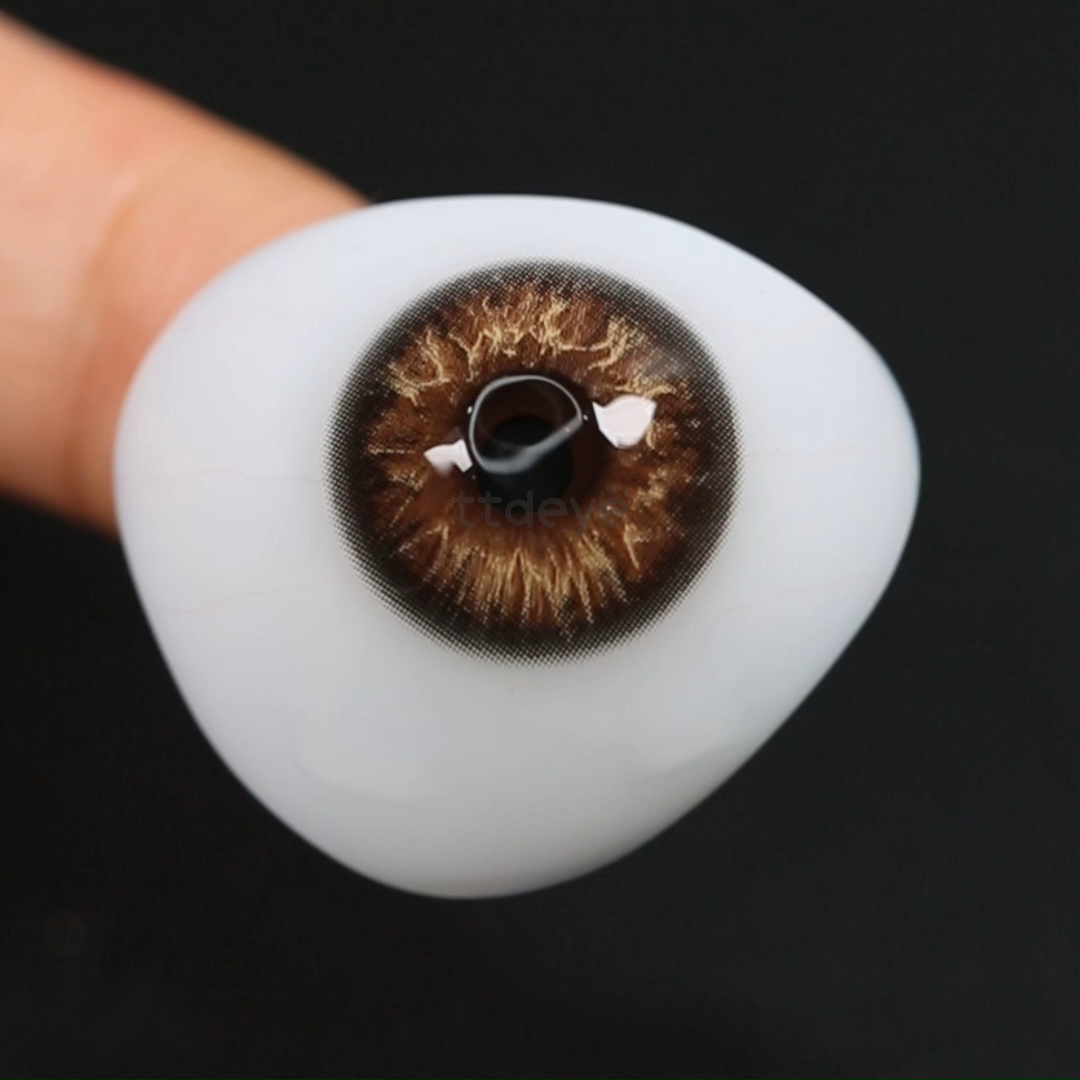TTDeye Coral Bay Brown | 1 Año