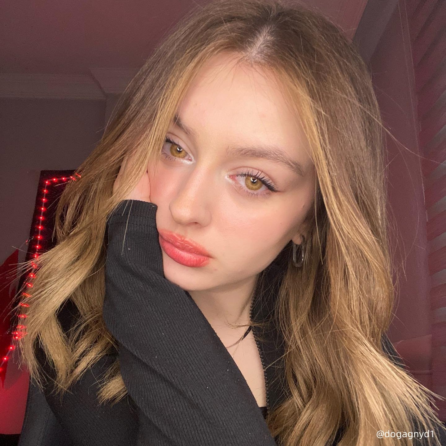 TTDeye Celestial Brown | 1 Year