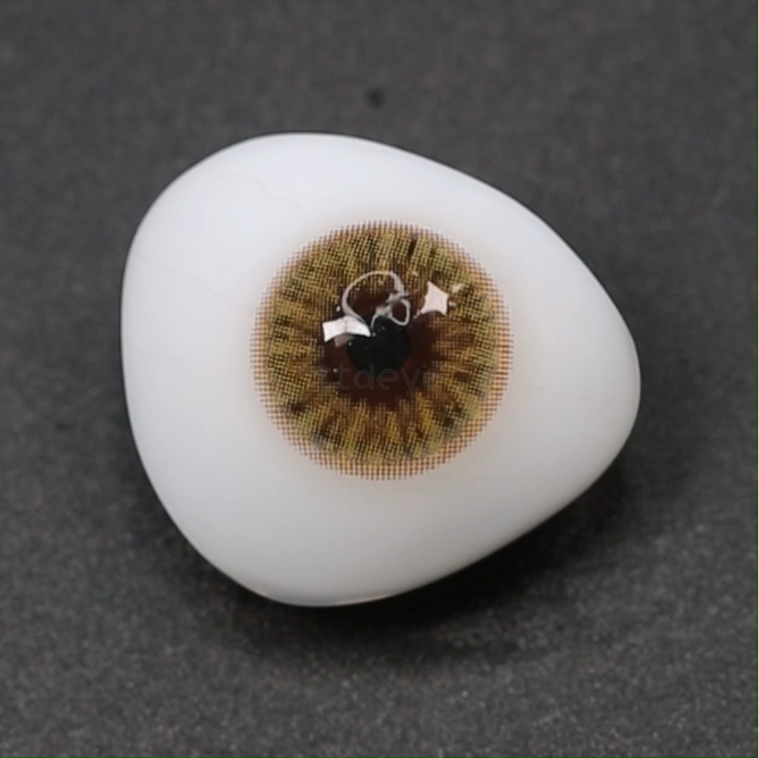 TTDeye Hami Melon Brown | 1 Año