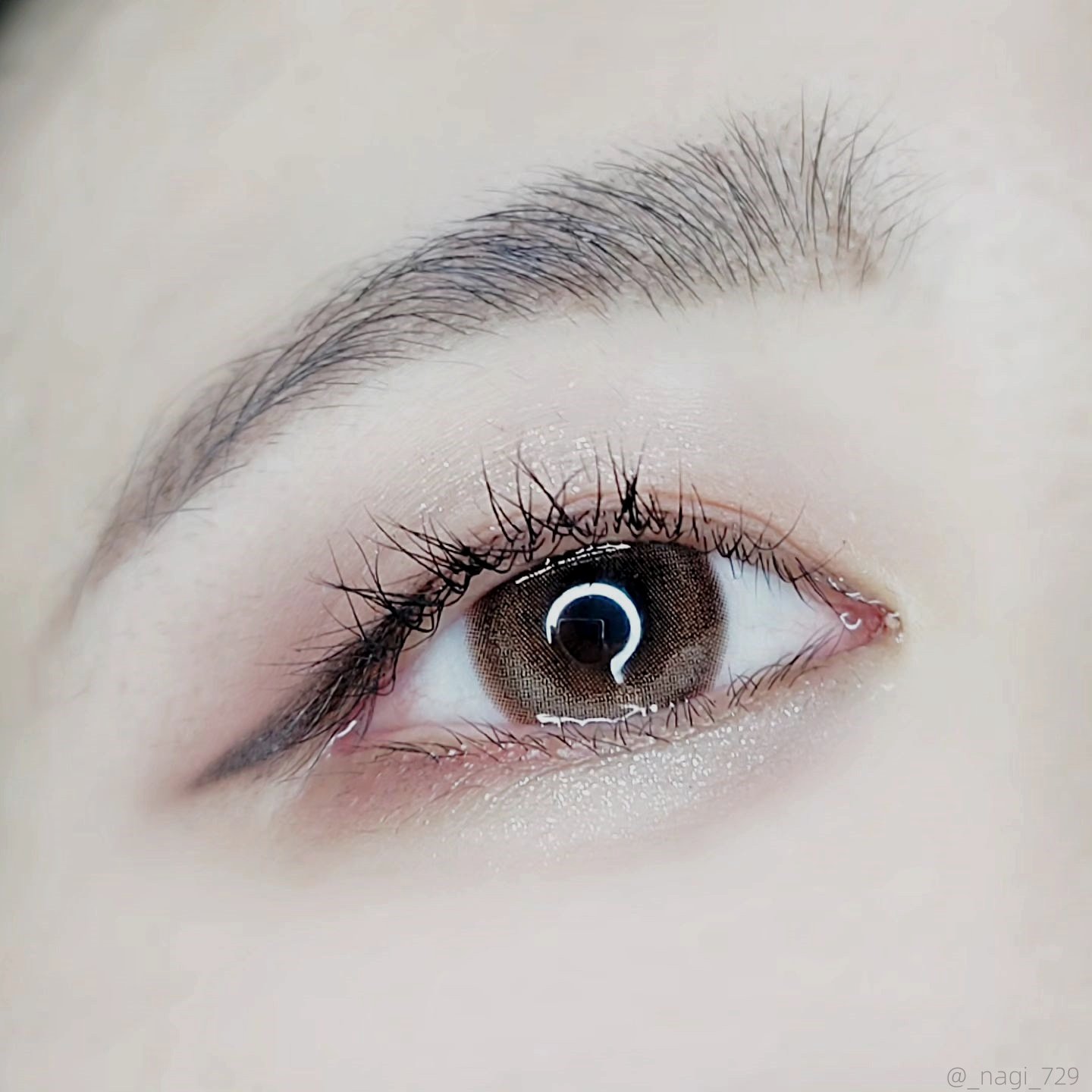 TTDeye Taffee Brown | 1 Year