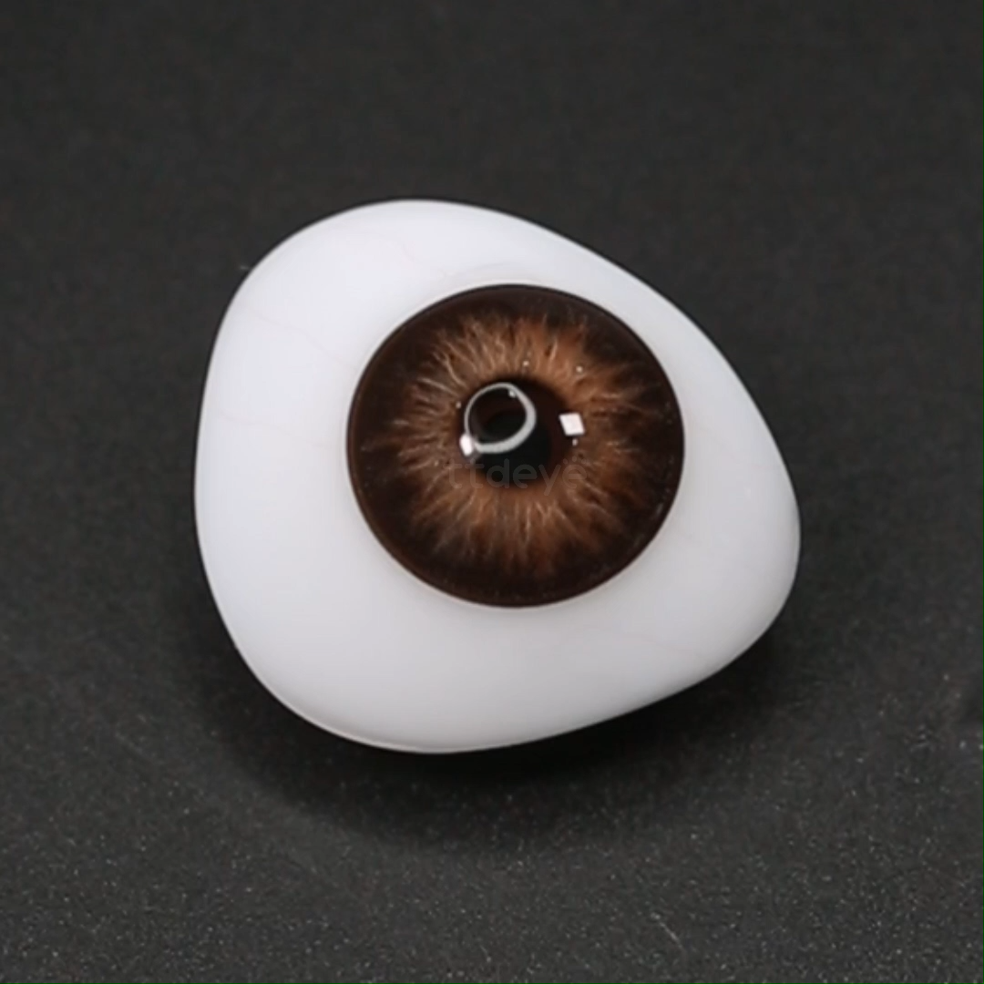 TTDeye Nutmeg Glow Brown | 1 Día, 2 Piezas