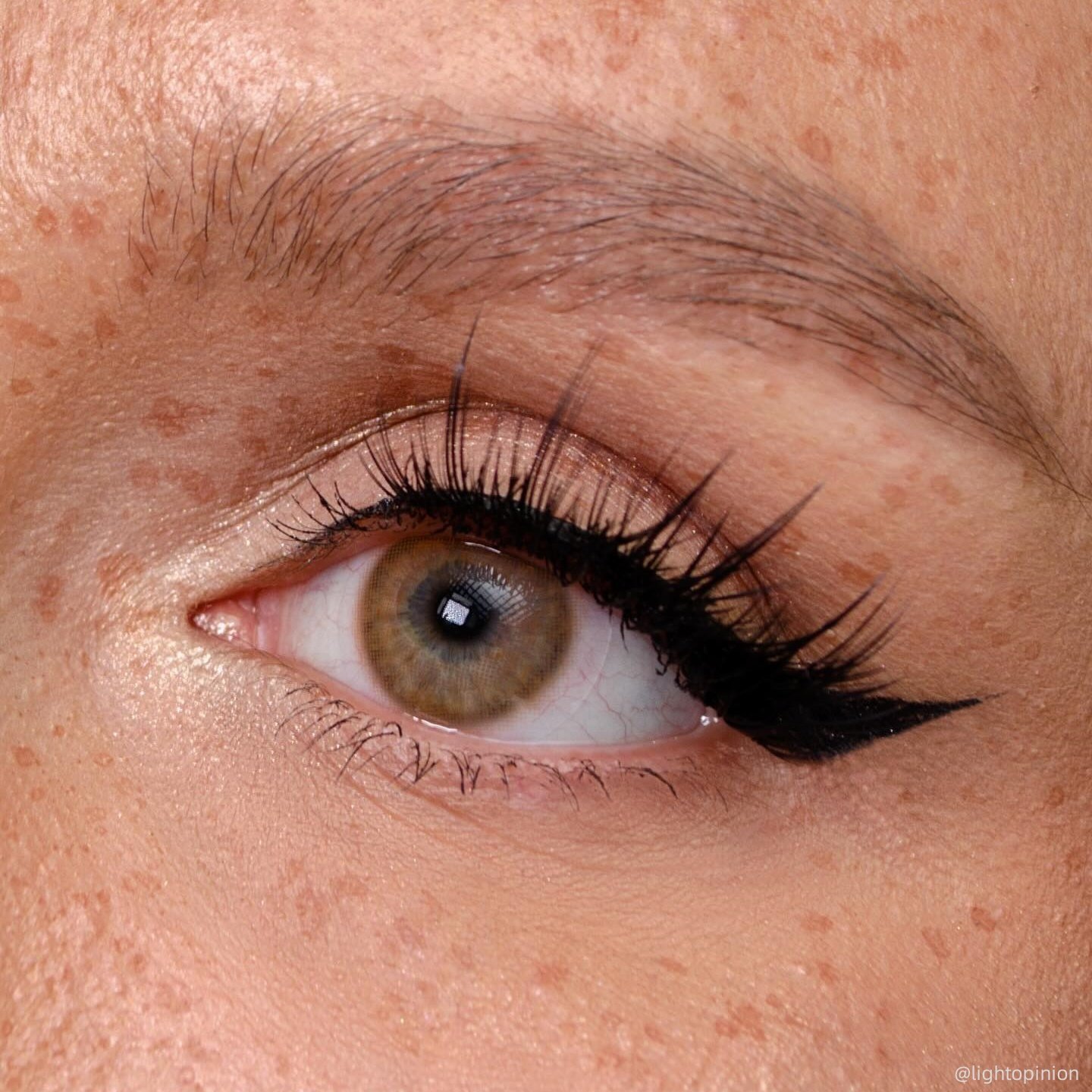 TTDeye Amber Brown | 1 Year