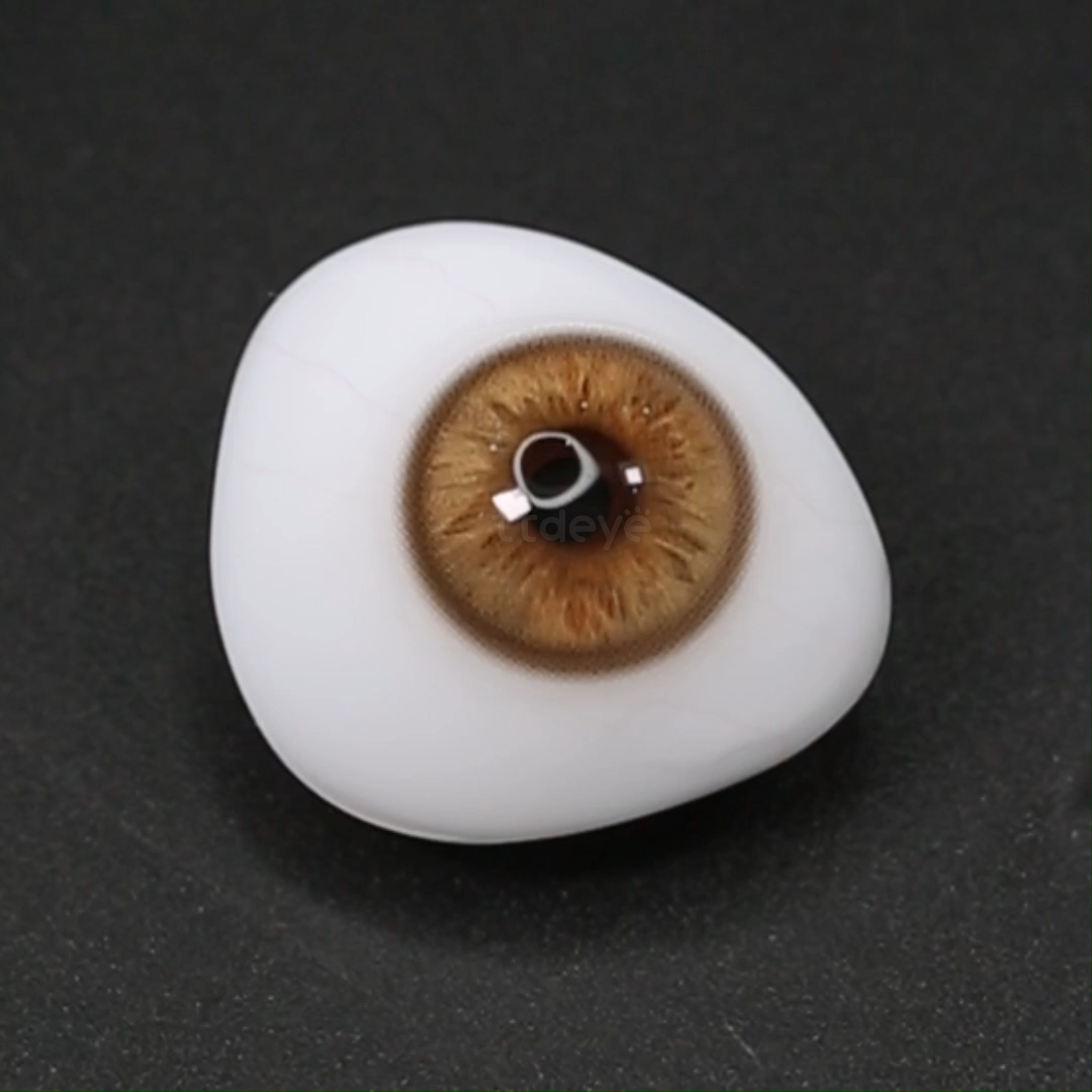 TTDeye Sugary Brown | 1 Día, 2 Piezas