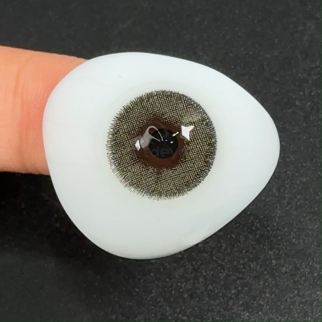 TTDeye Euramerican Brown-Green | 1 Año