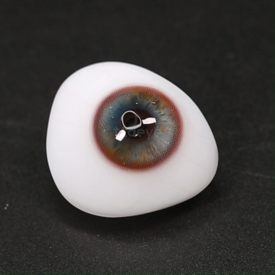 TTDeye Diana Blue | 1 Año