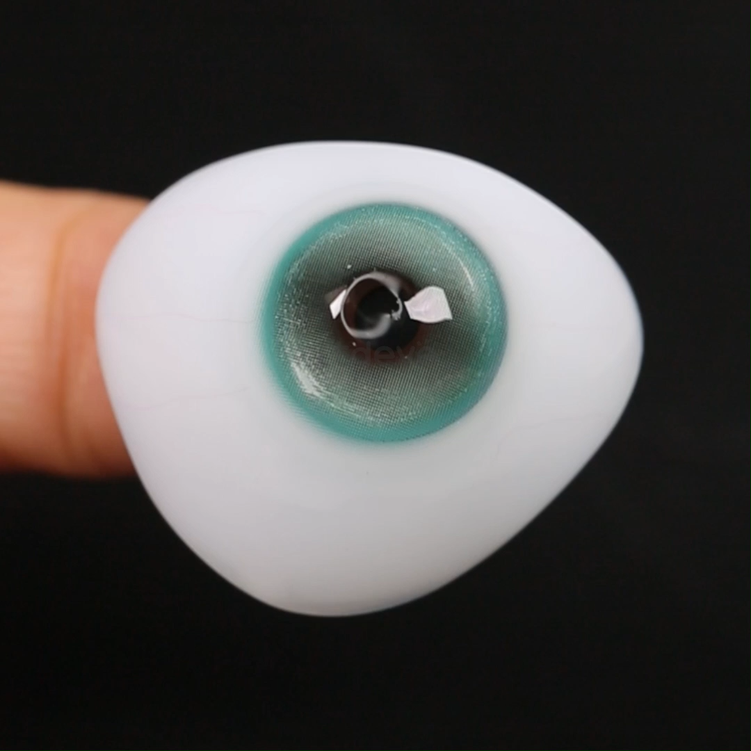 TTDeye Mistful Green | 1 Año