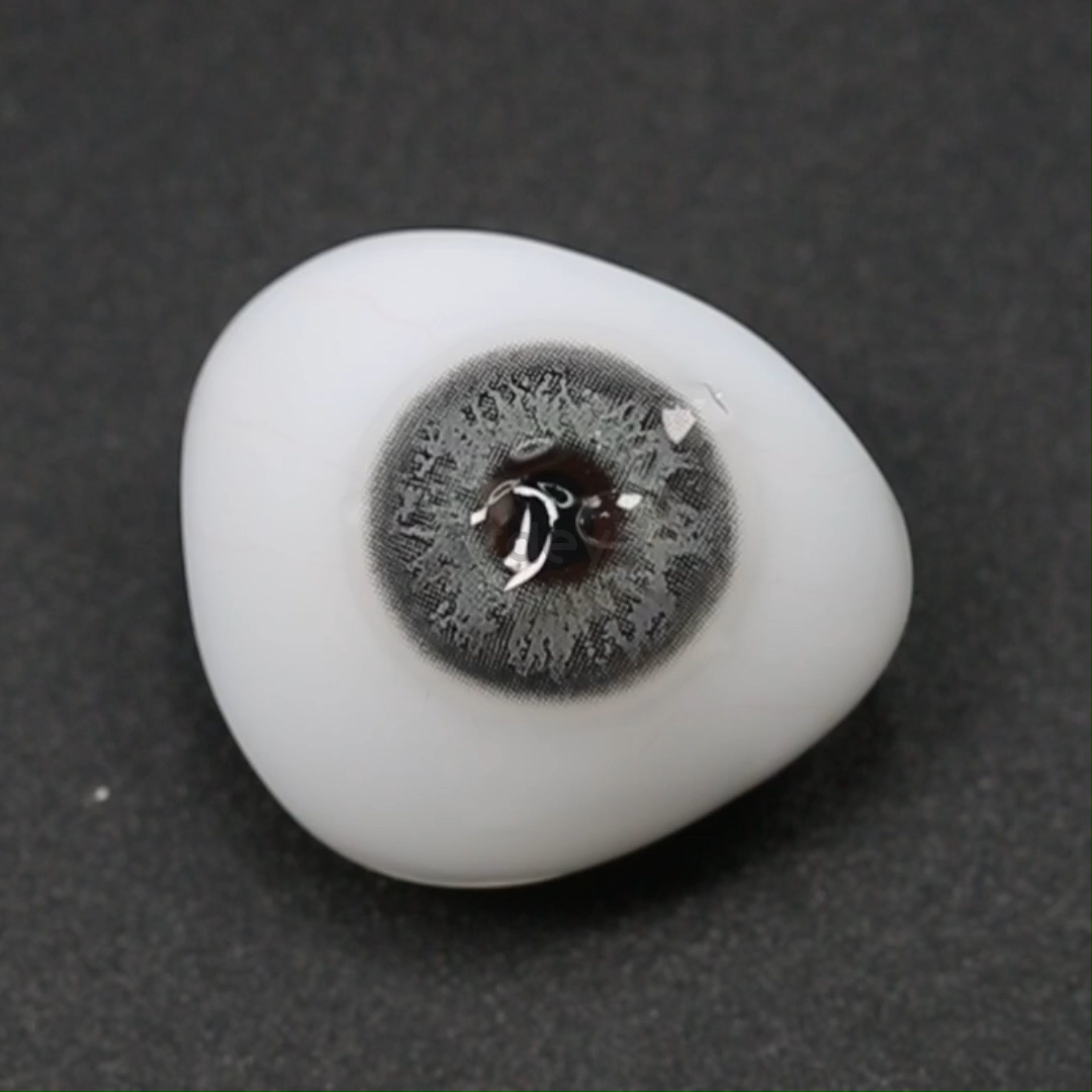 TTDeye Pewter Gray | 1 Año
