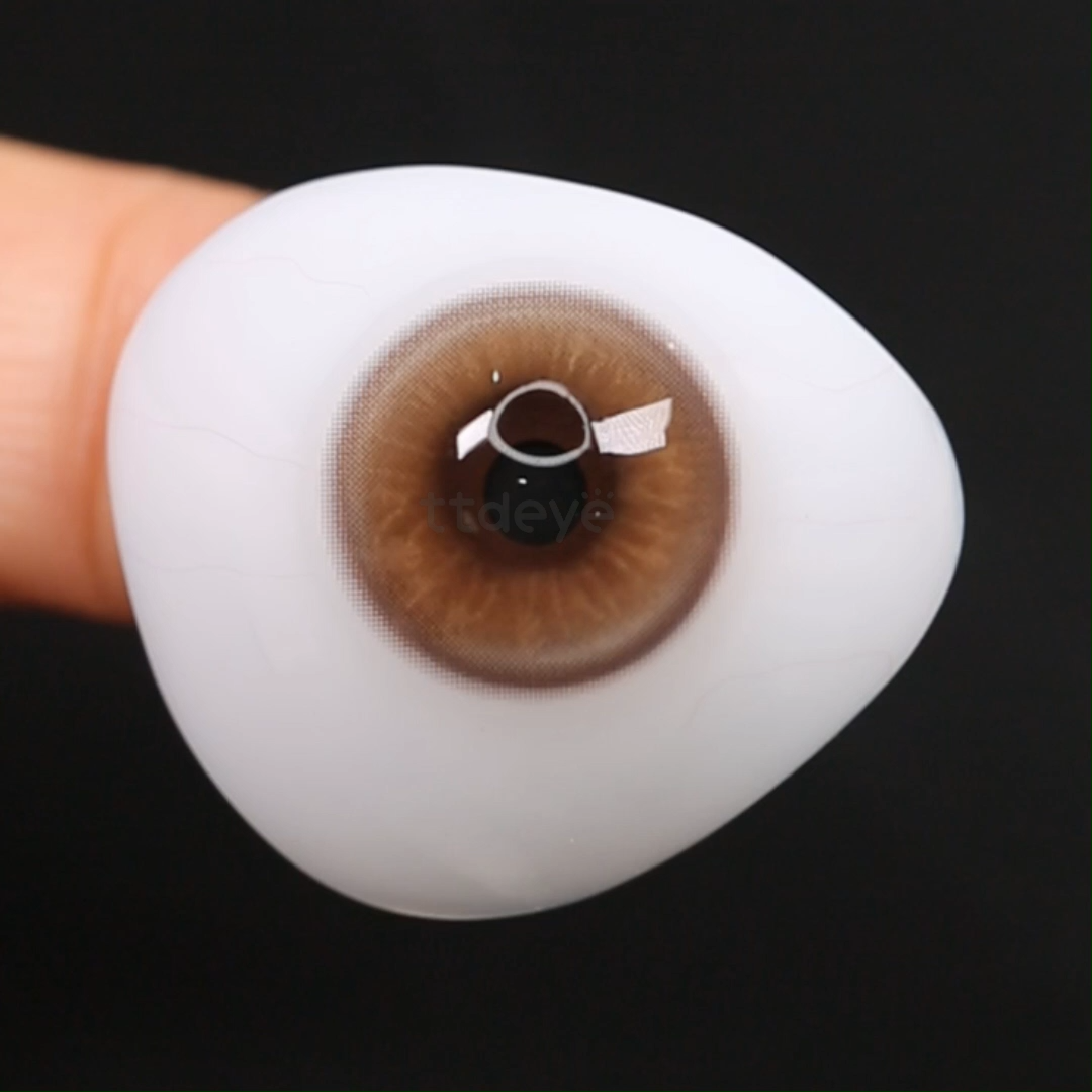 TTDeye Malt Brown | 1 Año