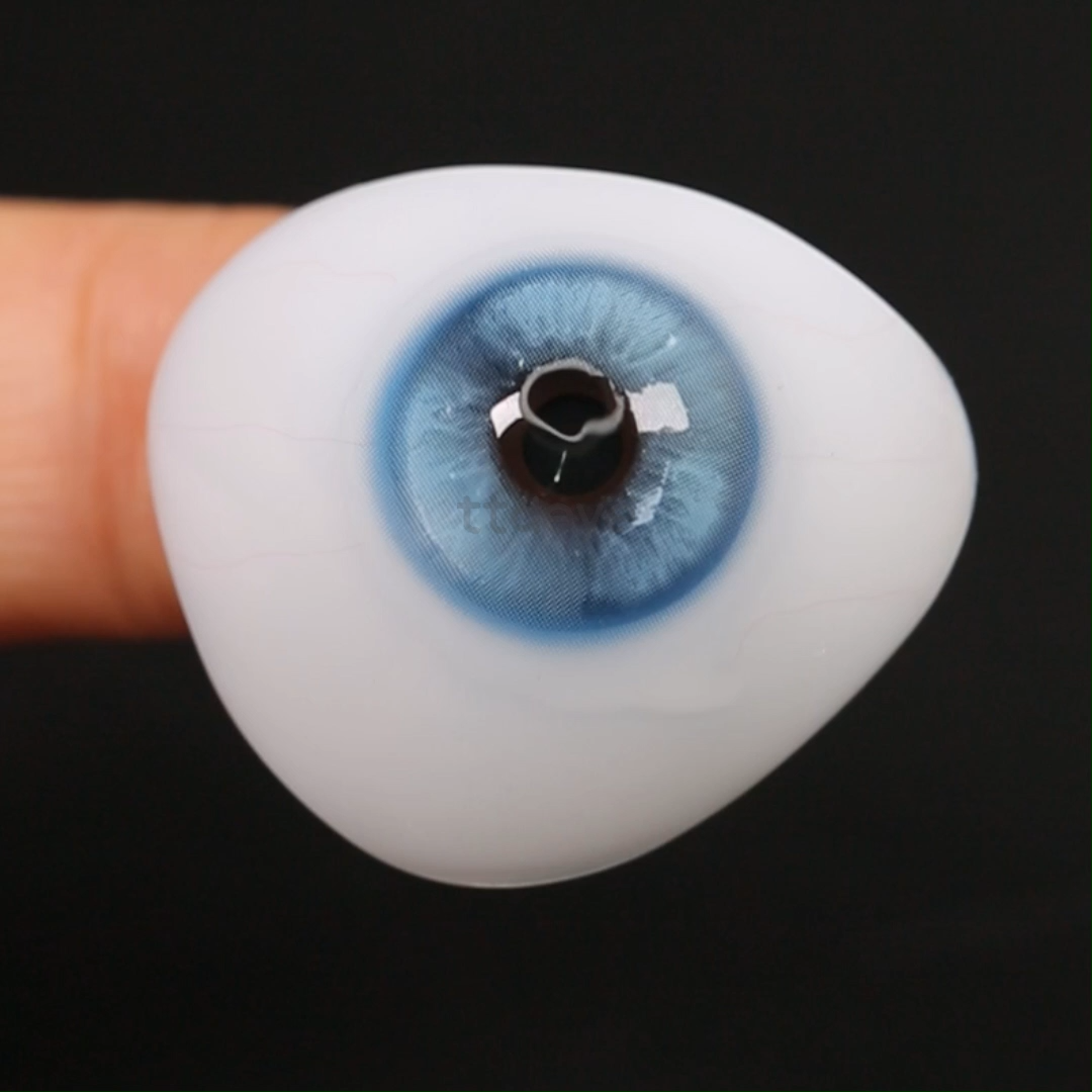TTDeye Zephyr Blue | 1 Año