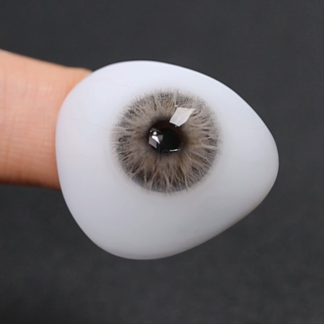 TTDeye Lamy Grey | 1 Año