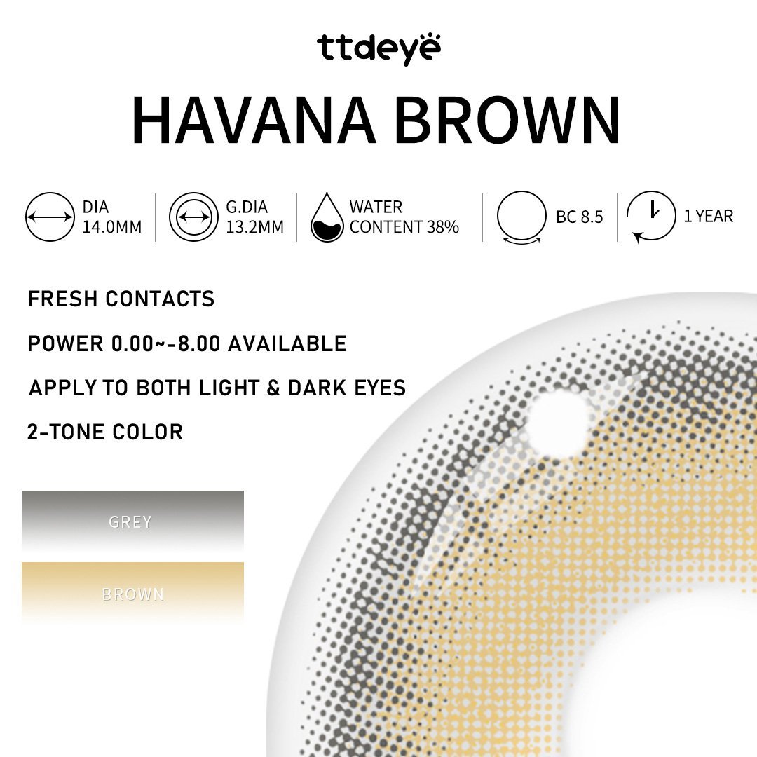 TTDeye Havana Brown | 1 Year