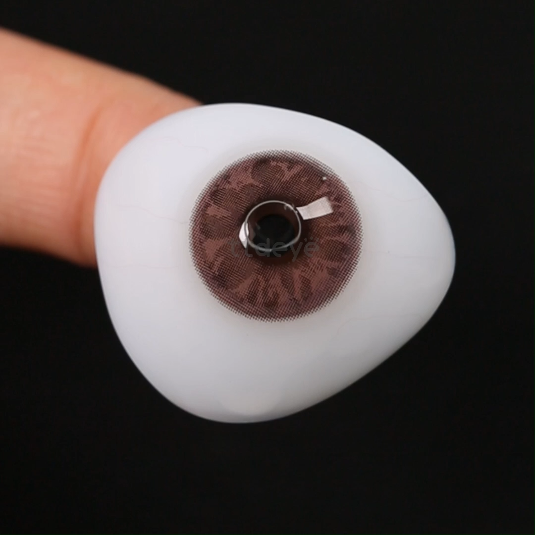 TTDeye Daisy Chocolate | 1 Año