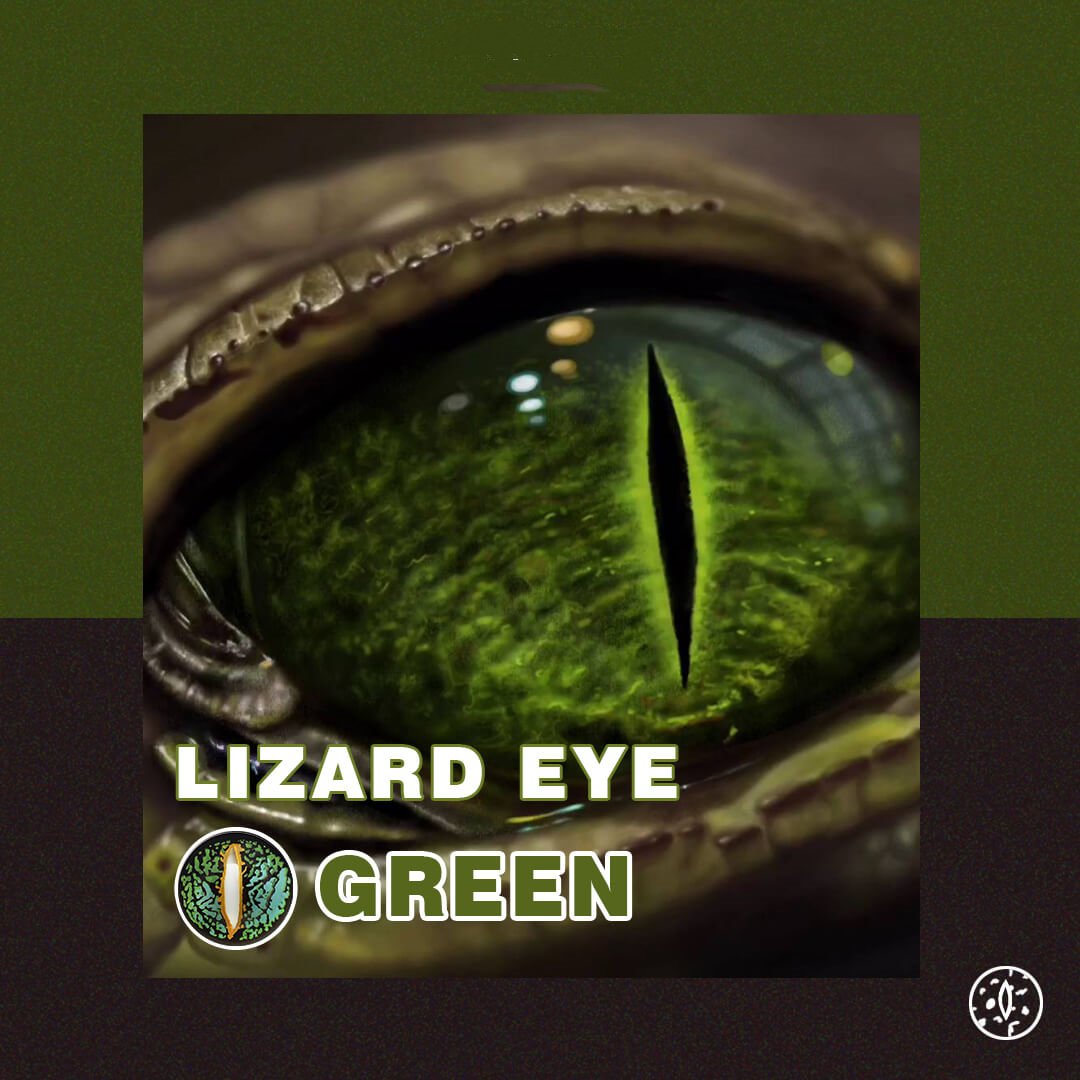 TTDeye Lizard Eye Green | 1 Year