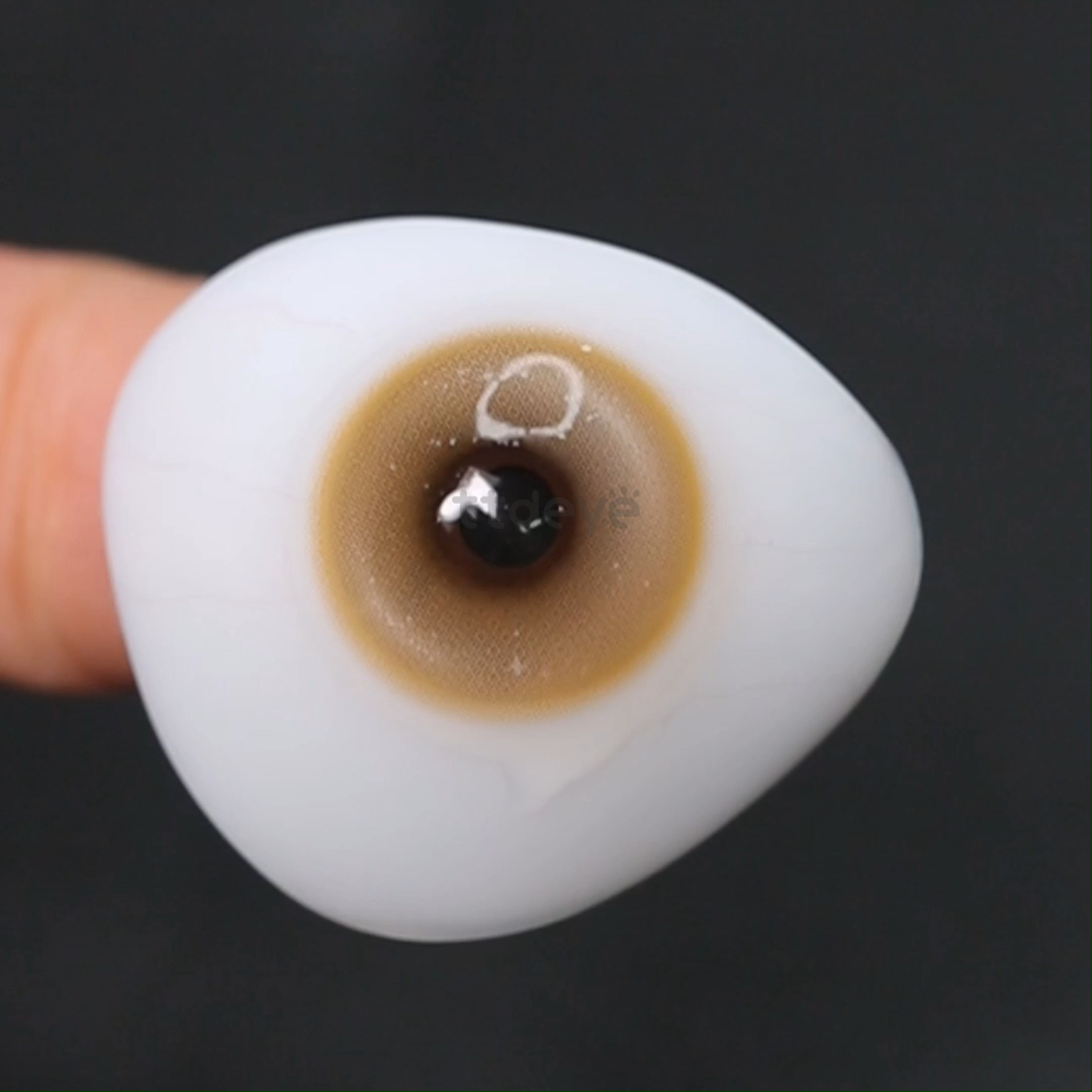 TTDeye Dewlight Brown | 1 Año