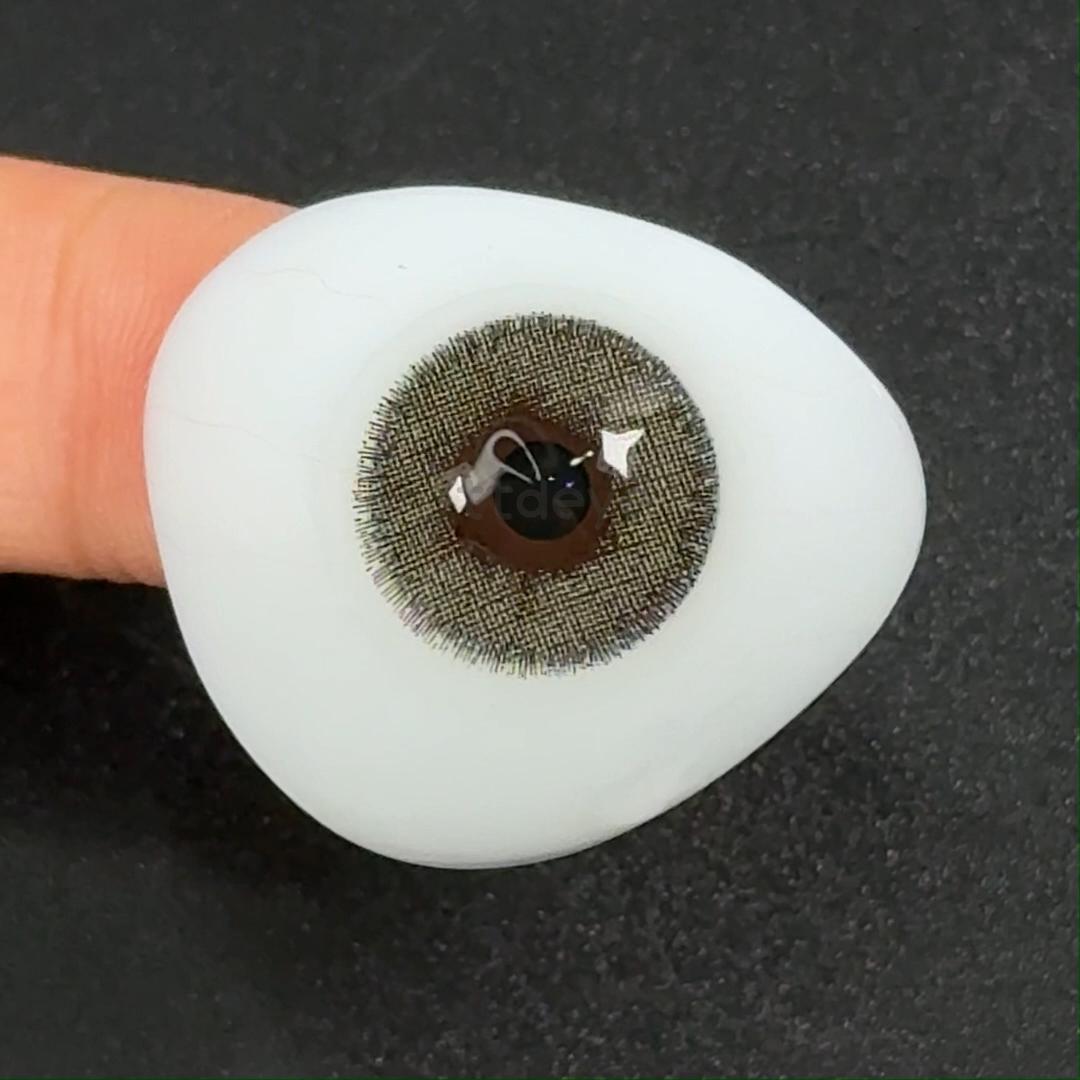TTDeye Euramerican Brown-Green | 1 Año