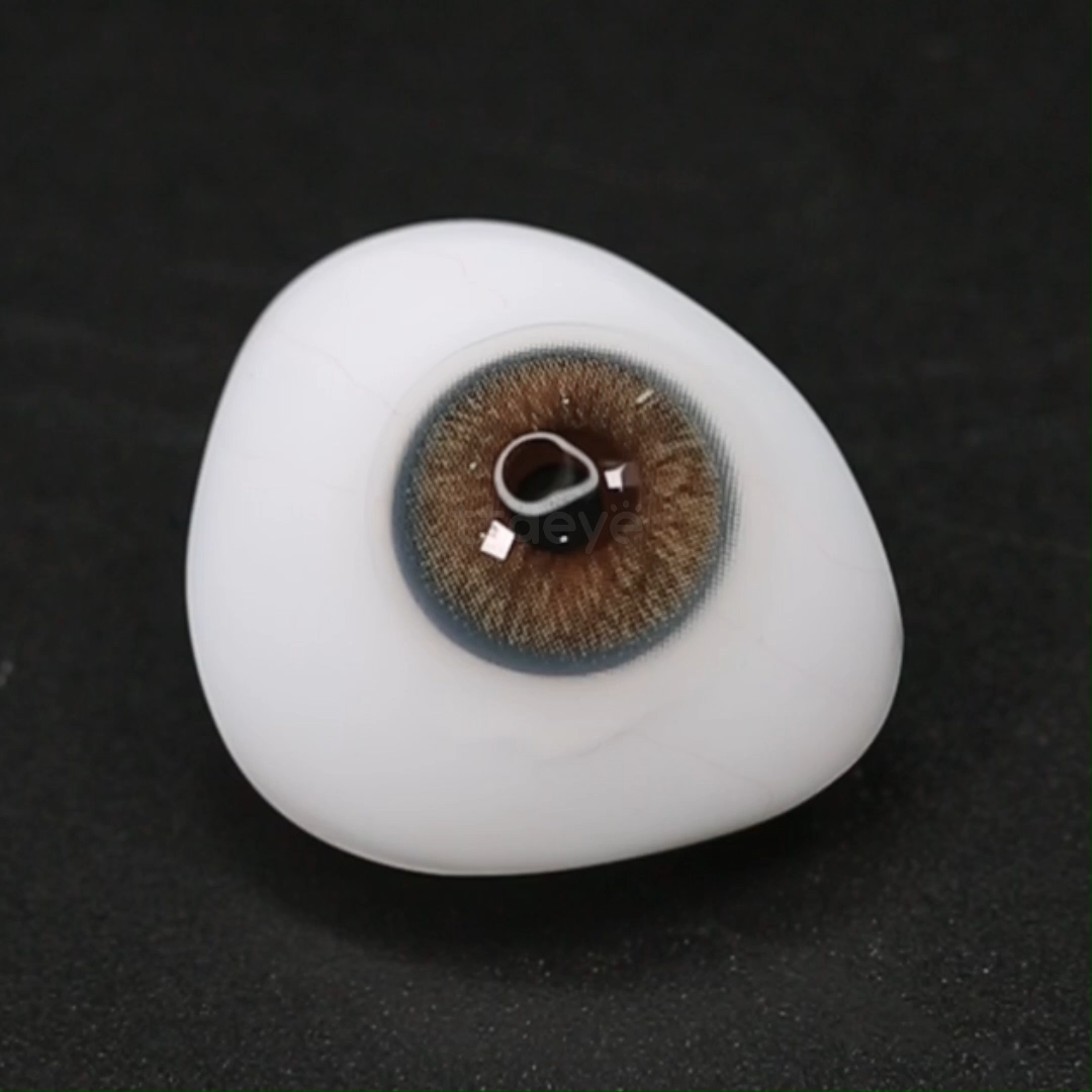 TTDeye Hazy Moon Brown | 1 Año