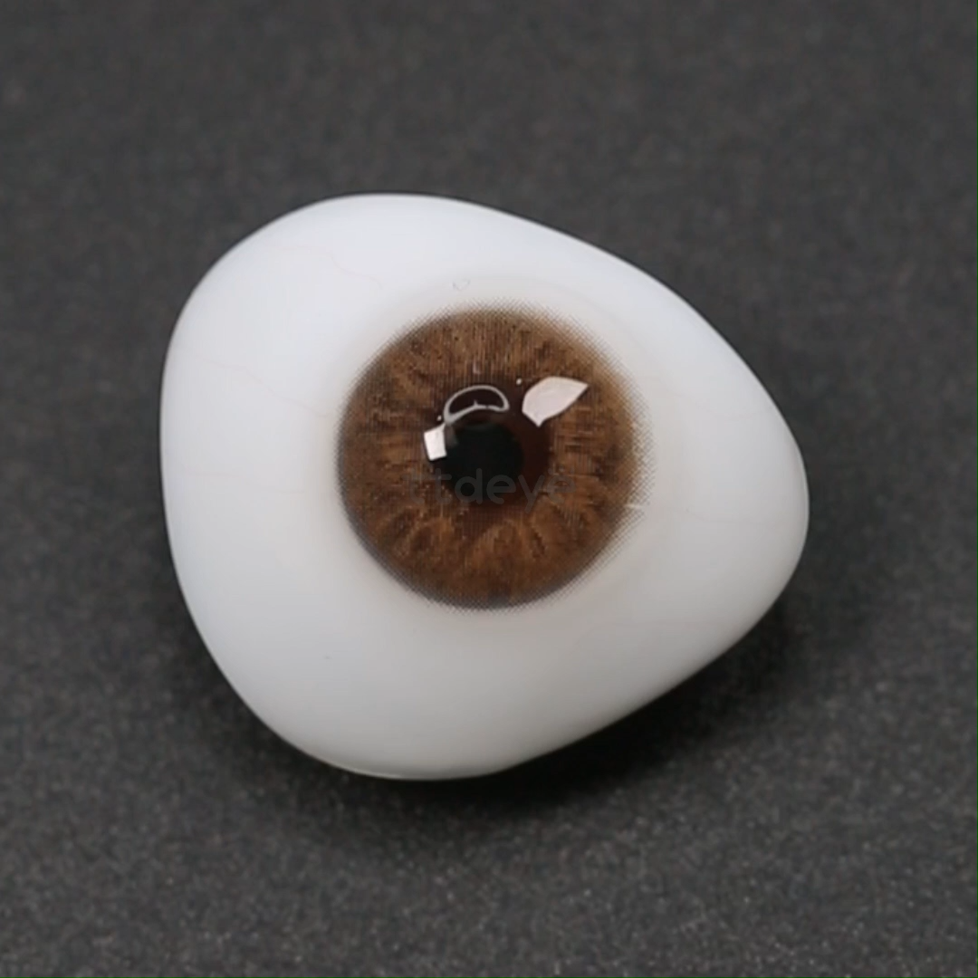 TTDeye Vanilla Hazel | 1 Año