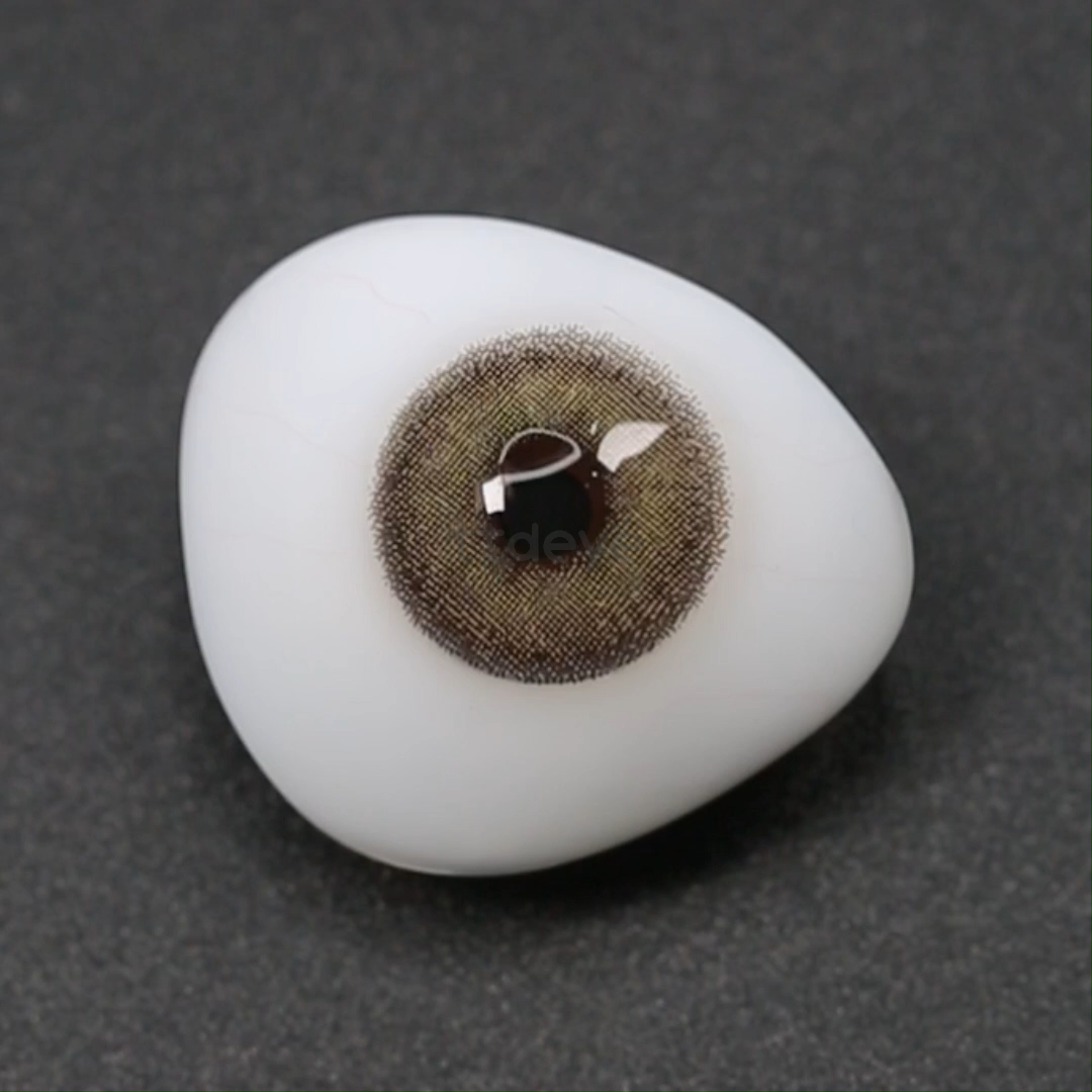 TTDeye Egypt Brown | 1 Año