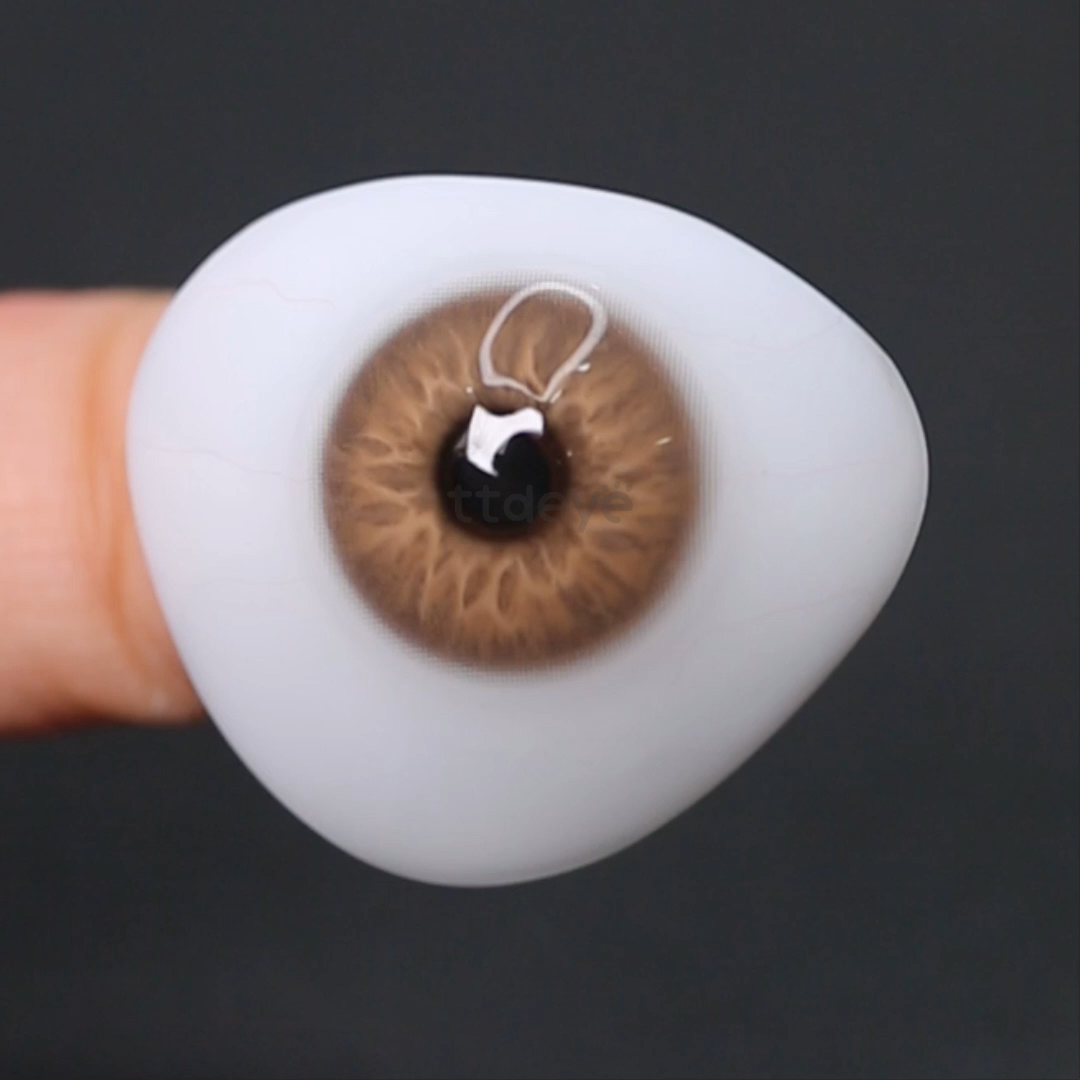 TTDeye Cyrin Brown | 1 Año