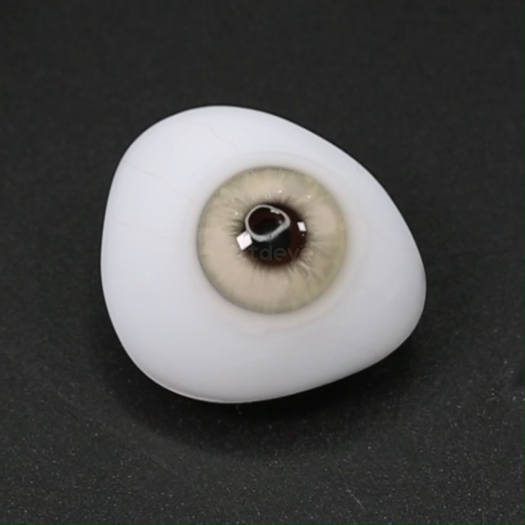 TTDeye Moelle Brown | 1 Año