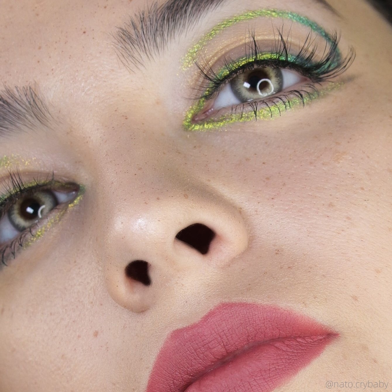 TTDeye Ailurus Brown | 1 Year