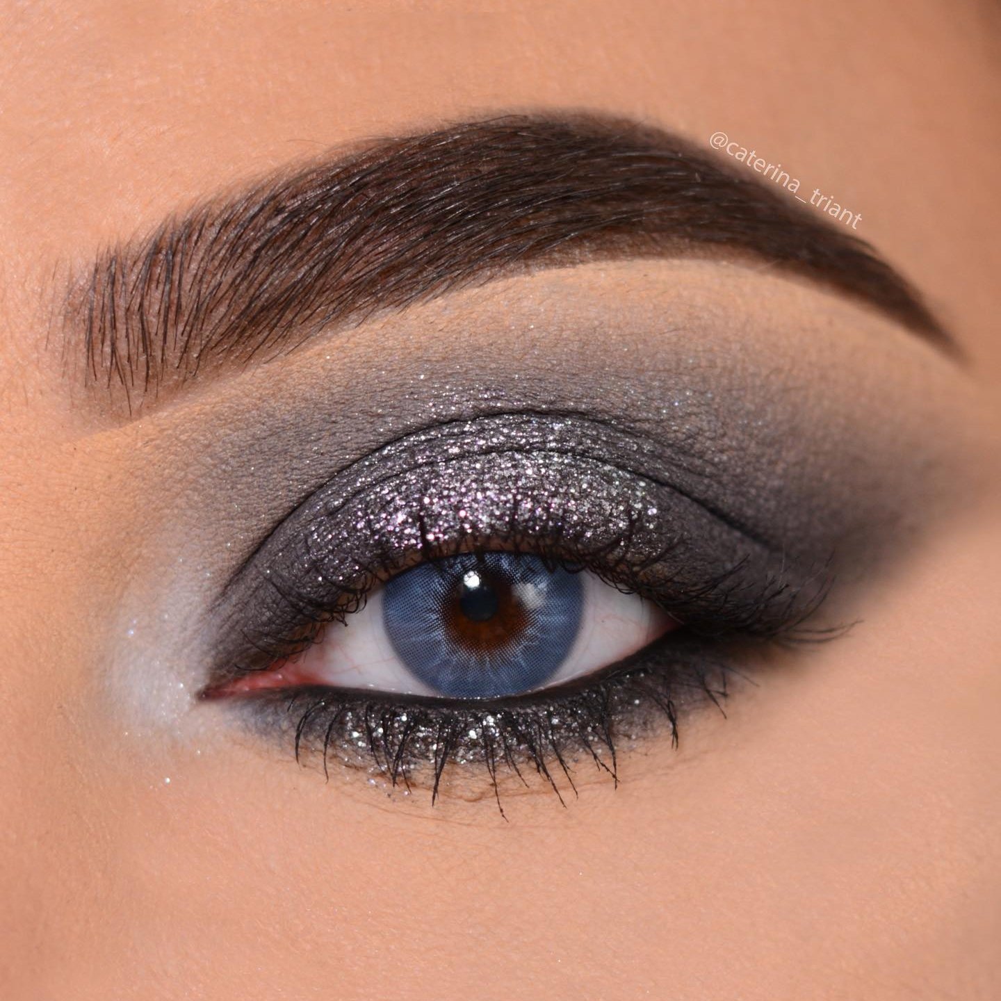 TTDeye Profound Blue | 1 Year