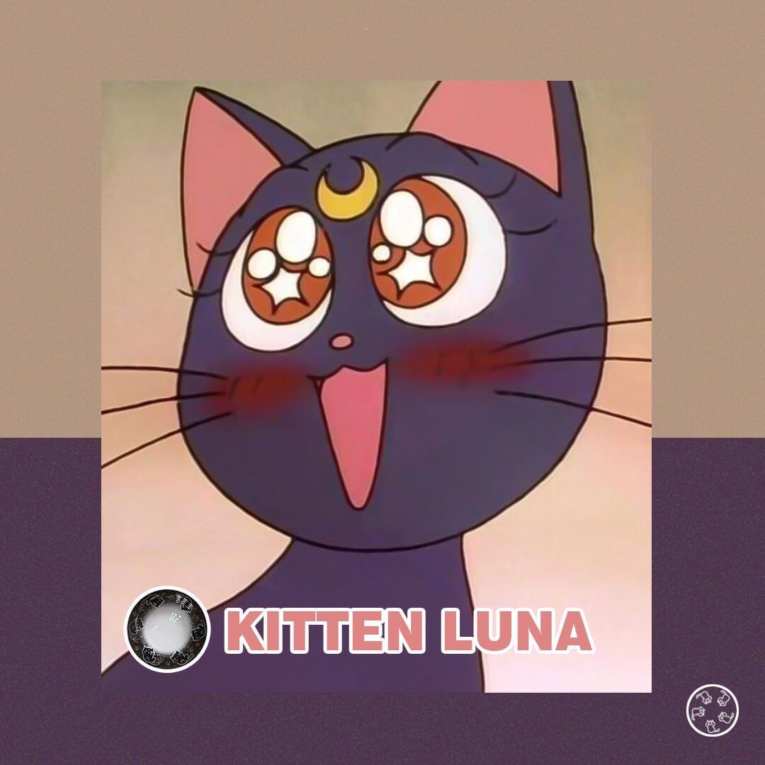 TTDeye Kitten Luna Style | 1 Year