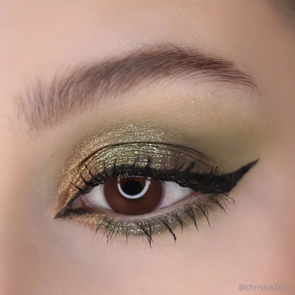 TTDeye Queen Chocolate | 1 Year