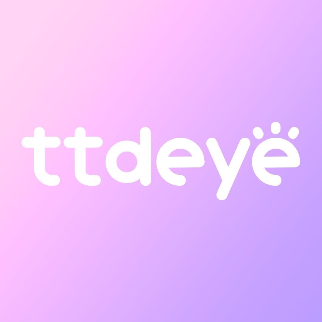 TTDeye logo