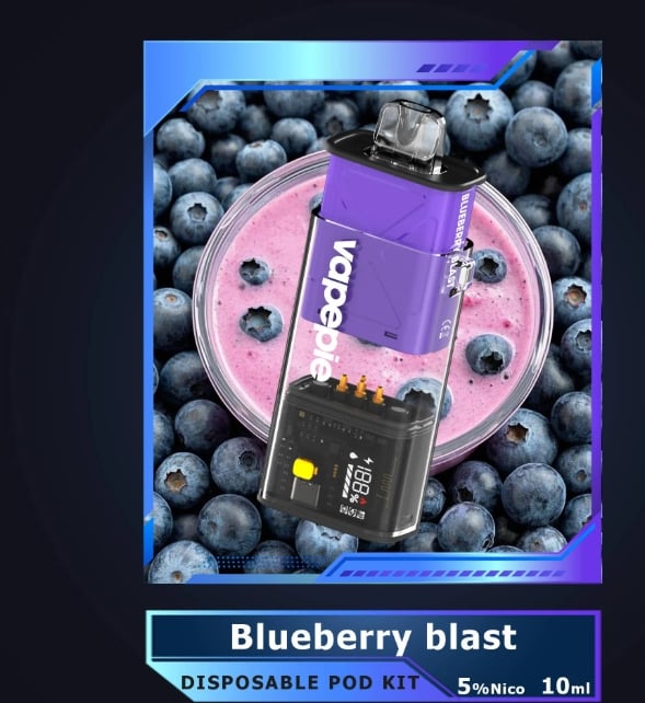 Vapepie Disposable Pod Kit (1+1)10000 Puffs