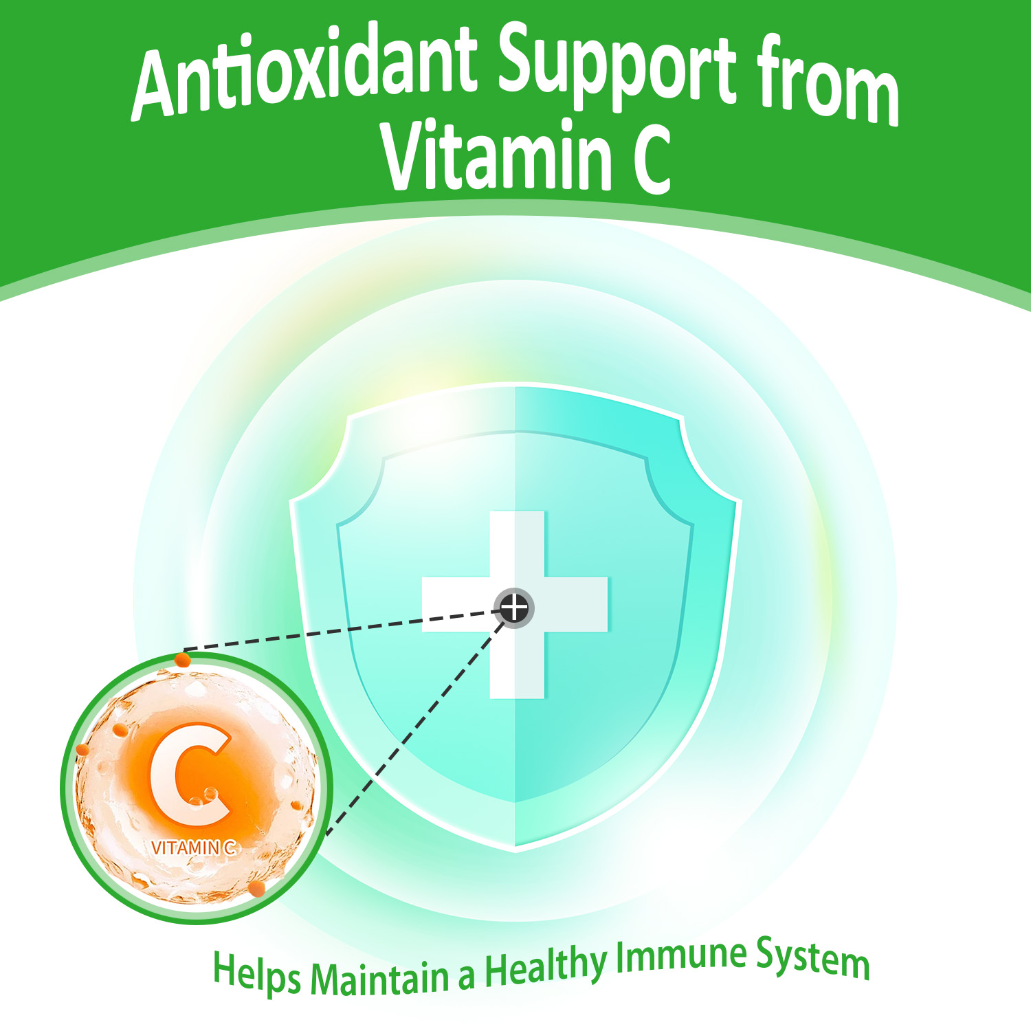 3-in-1 Garcinia Cambogia Liquid Drops - Natrual Extract with Green Coffee Bean & Vitamin C